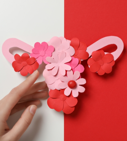 Nymphoplastie à Oujda