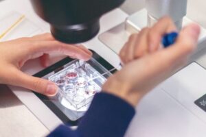 gynécologue obstétricien à Oujda