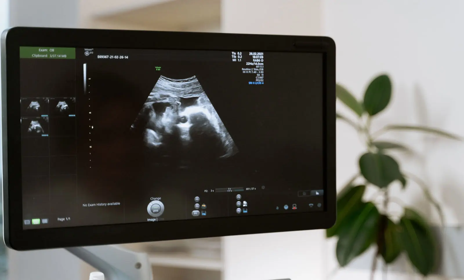 gynécologue obstétricien à Oujda