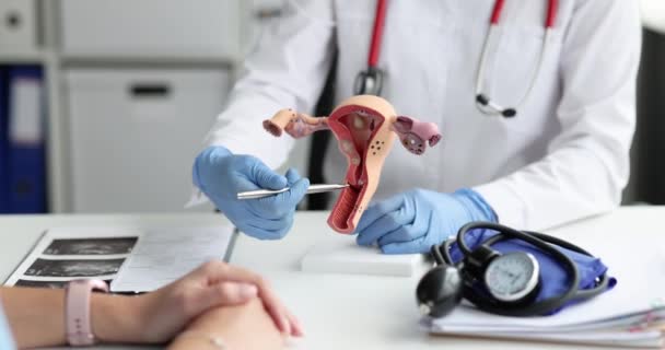 Endométriose à Oujda