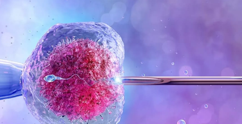 Assistance médicale à la procréation à Oujda :