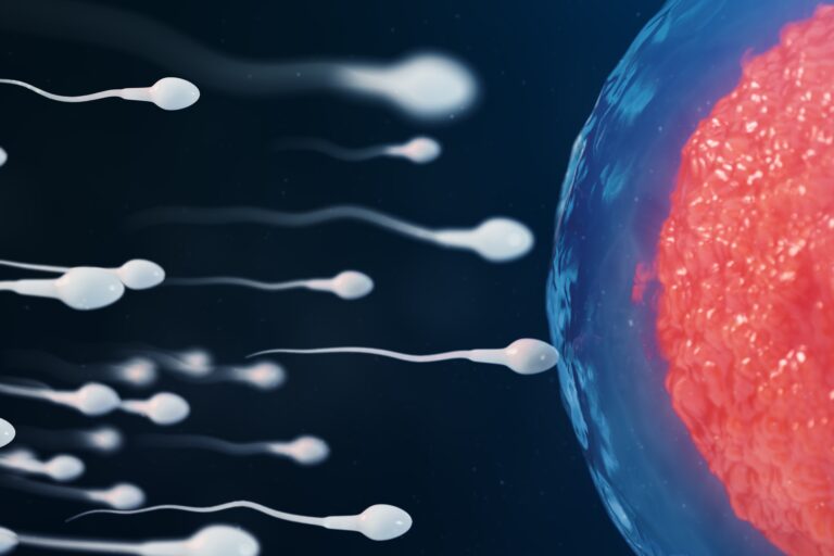 fertilité et aide à la procréation